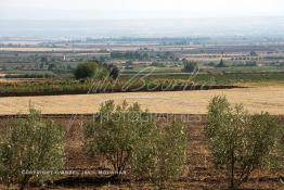 Image du Maroc Professionnelle de  Les champs agricoles dans la région du barrage Al Wahda situé entre (Ouazzane, Taounate et Sidi Kacem) deuxième plus grand barrage d'Afrique après Assouane, Jeudi 8 septembre 2005. (Photo / Abdeljalil Bounhar) 